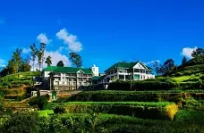 بلک پول ریزورت نوارا الیا